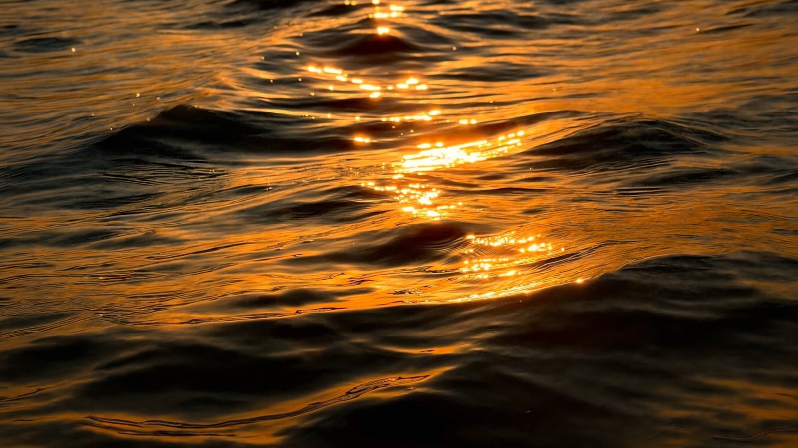 Mar ao entardecer em Japaratinga, Alagoas